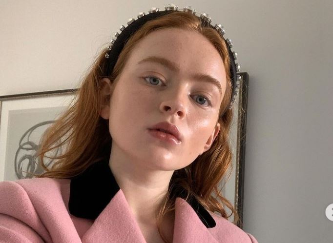 Does Sadie Sink Have Boyfriend? Her Wiki And Net Worth