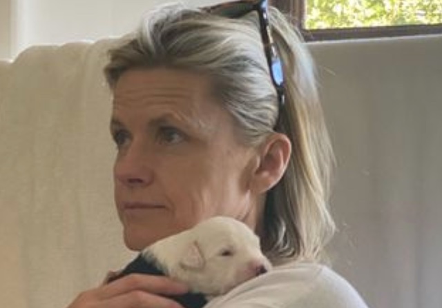 Viveca Paulin (Will Ferrell's Wife) Bio, Married, Life, Children, Net Worth