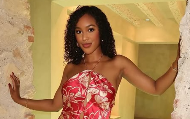 What Is Big Brother Ashley Hollis' Job?